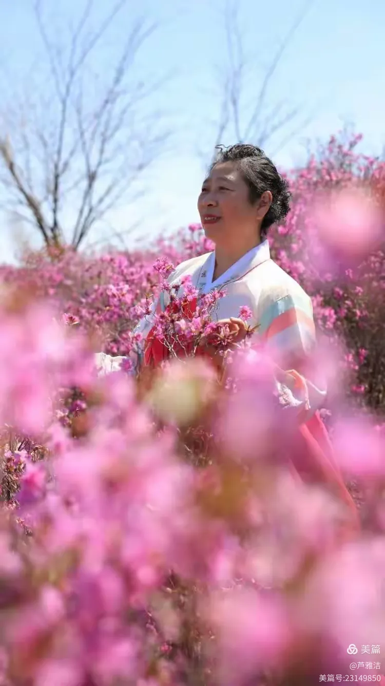 朝鲜族的金达莱 满族的年喜花